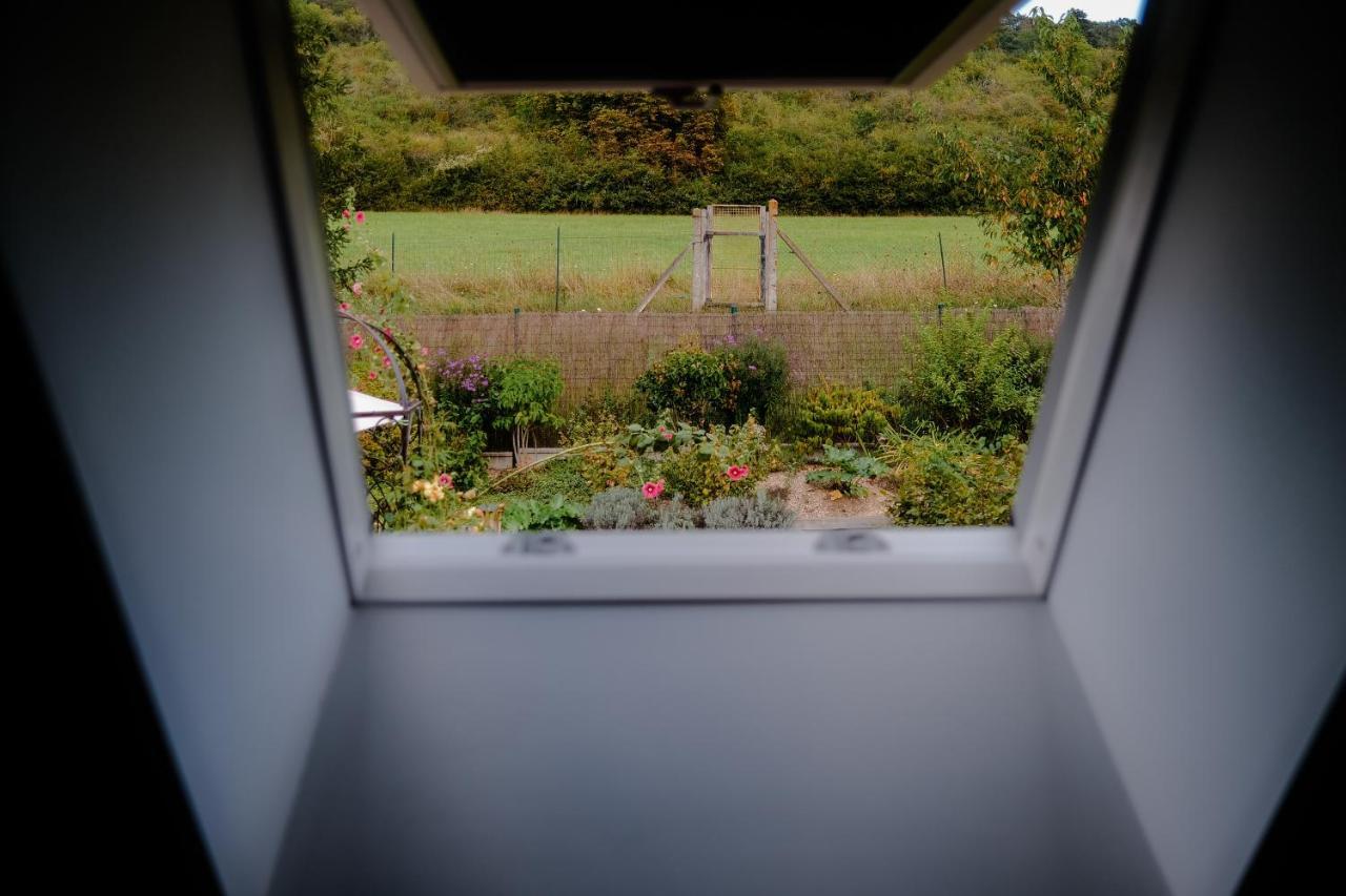 Vila Twin Ginkgo Giverny Exteriér fotografie